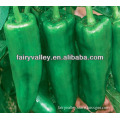 Green Horn Hot Pepper Seeds-Fortune Pepper No.2